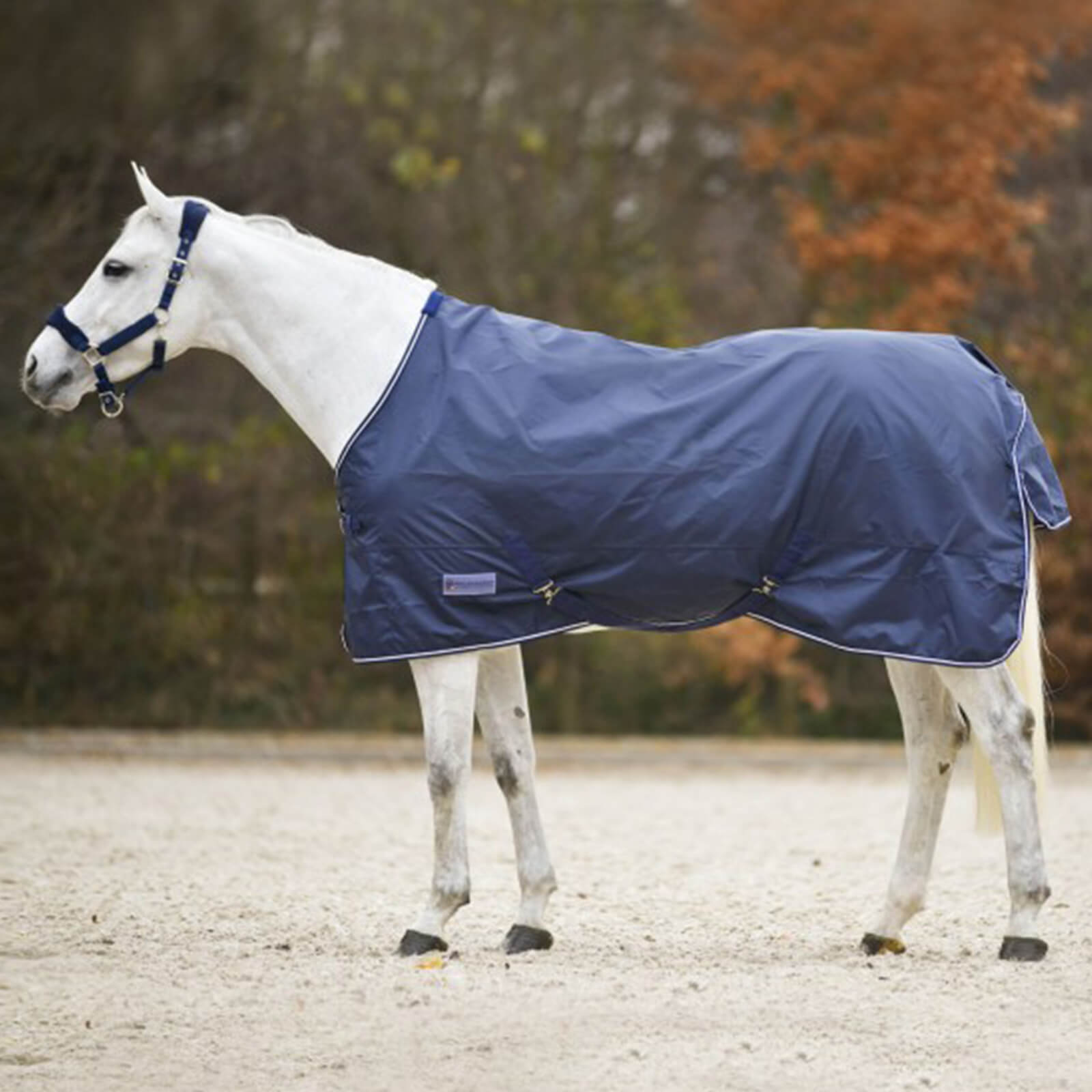 Outdoordecke 0g Economic Regendecke