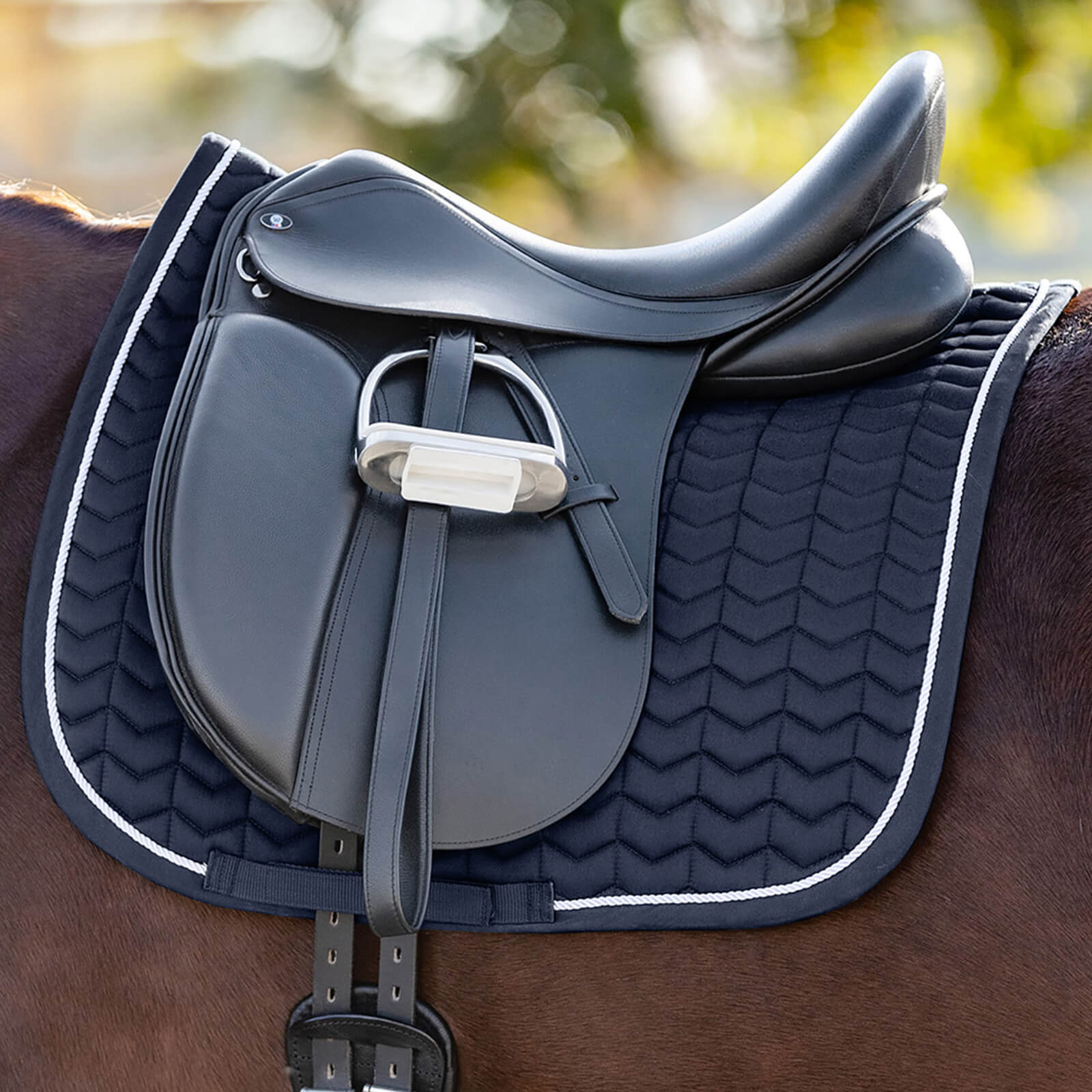 Schabracke Dressur Classic