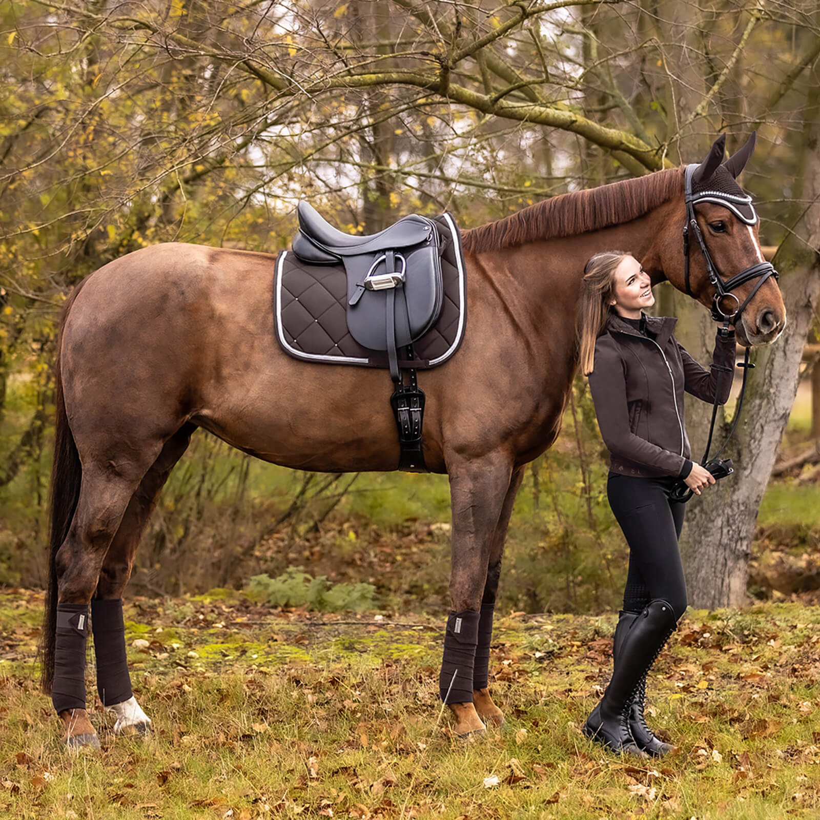 Schabracke Dressur Competition