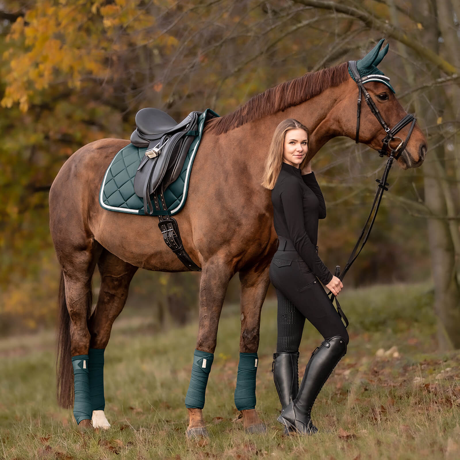 Schabracke Dressur Competition