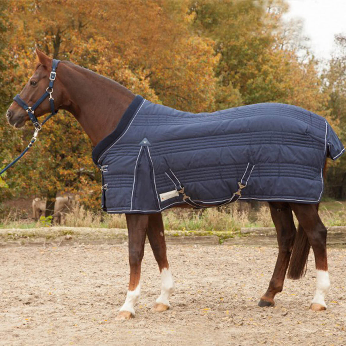 Stalldecke 100g Comfort