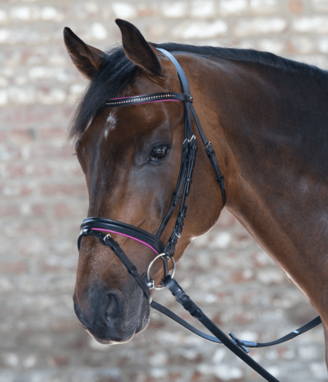 Trensenzaum Star Diamond