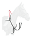 Schwarz