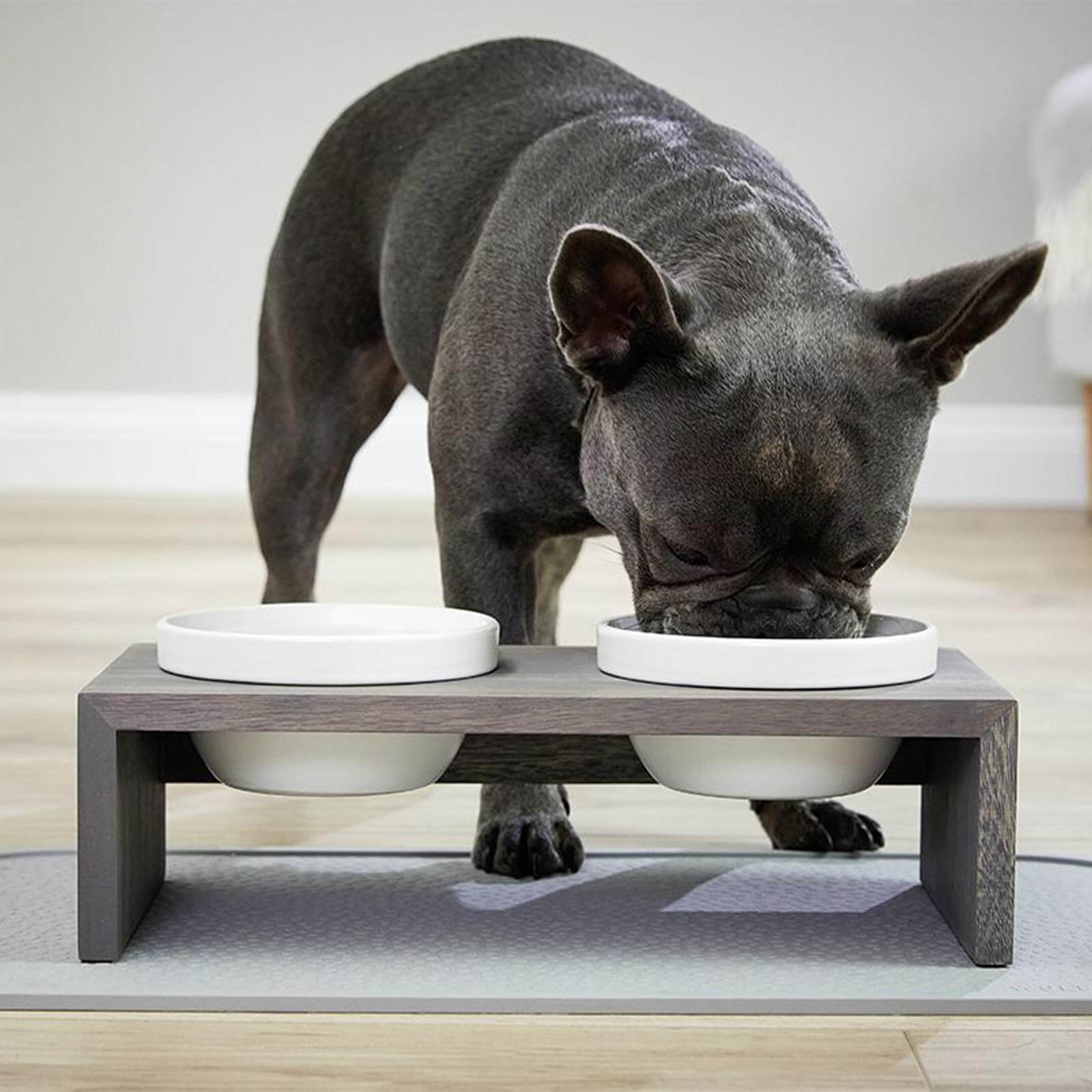 Doppelnapf Gohan Futterstation Hund