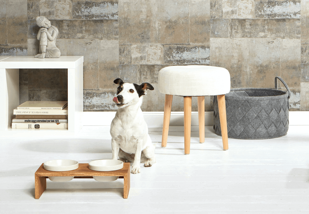 Doppelnapf Gohan Futterstation Hund
