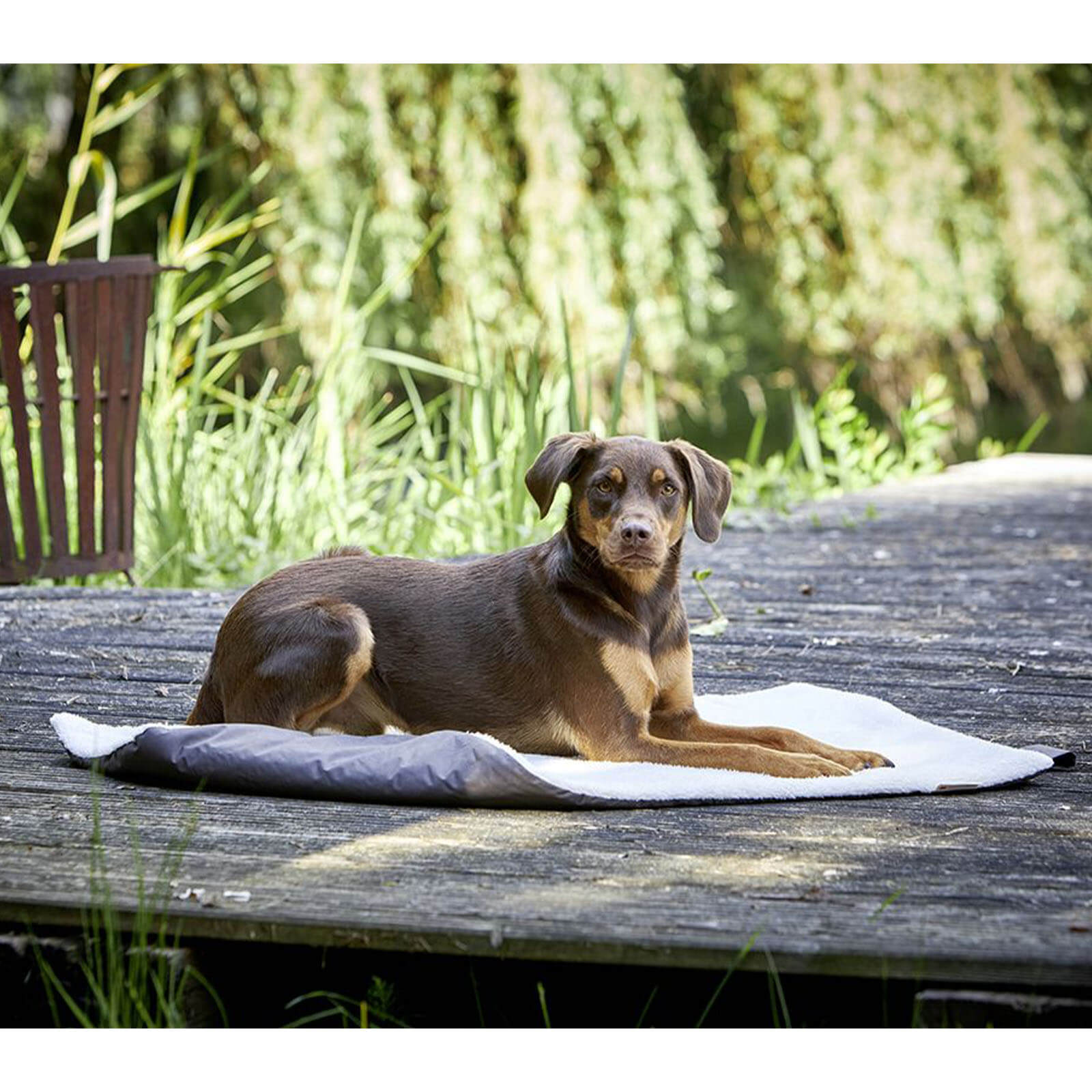 Hundedecke Vagabund Reisedecke