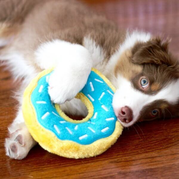 Hundespielzeug Donutz