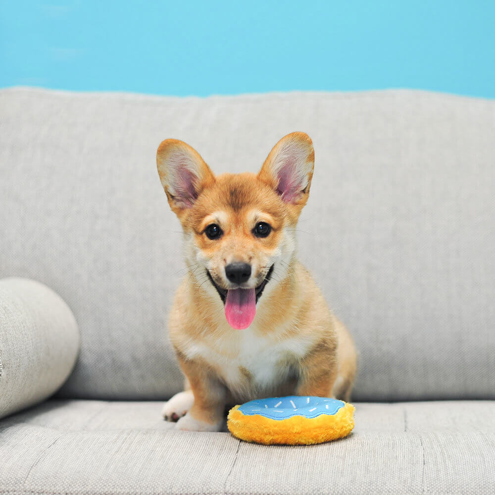 Hundespielzeug Mini Donutz