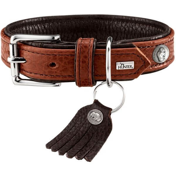 Hunter Hundehalsband Cody Halsband Hunter Hundehalsband Cody Halsband
