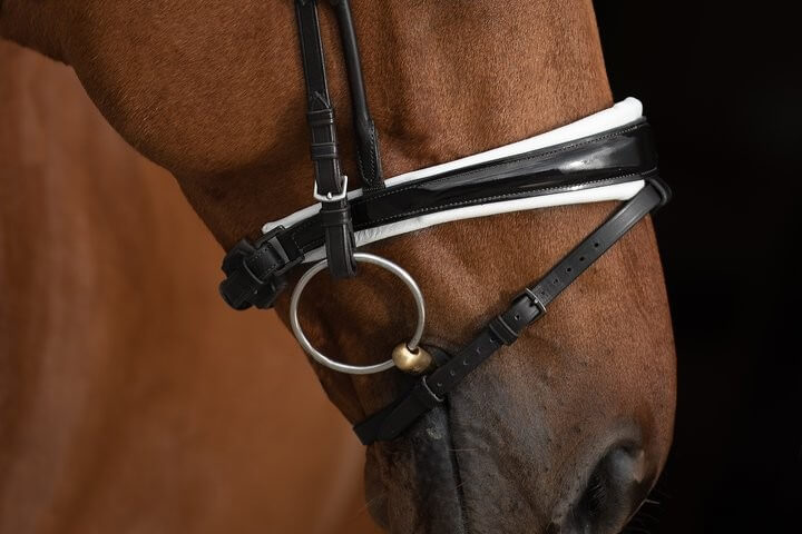 PS of Sweden Trense GP Lack Trensenzaum Ledertrense PS of Sweden Trense GP Lack Trensenzaum Ledertrense