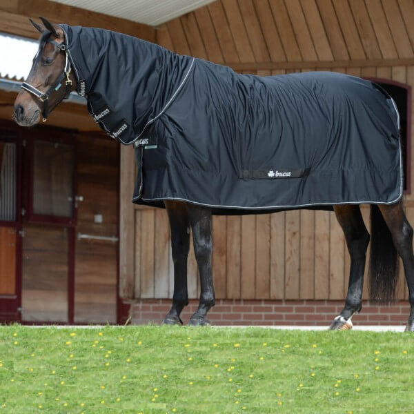 Multifunktionsdecke 0g Shamrock Power Full Neck Multifunktionsdecke 0g Shamrock Power Full Neck