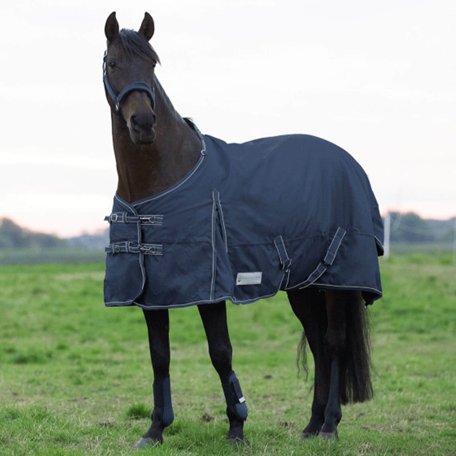 Waldhausen Outdoordecke 0g Economic Light Regendecke Nachtblau 115 cm | kavalio - für mich und mein Pferd