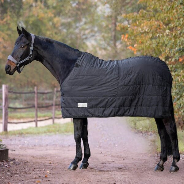 Unterdecke 200g Economic Thermo  Unterdecke 200g Economic Thermo