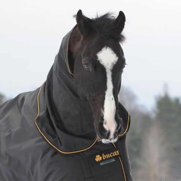 Halsteil 0g Irish Neck Halsteil 0g Irish Neck