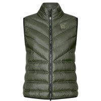 Green Beetle Green Beetle