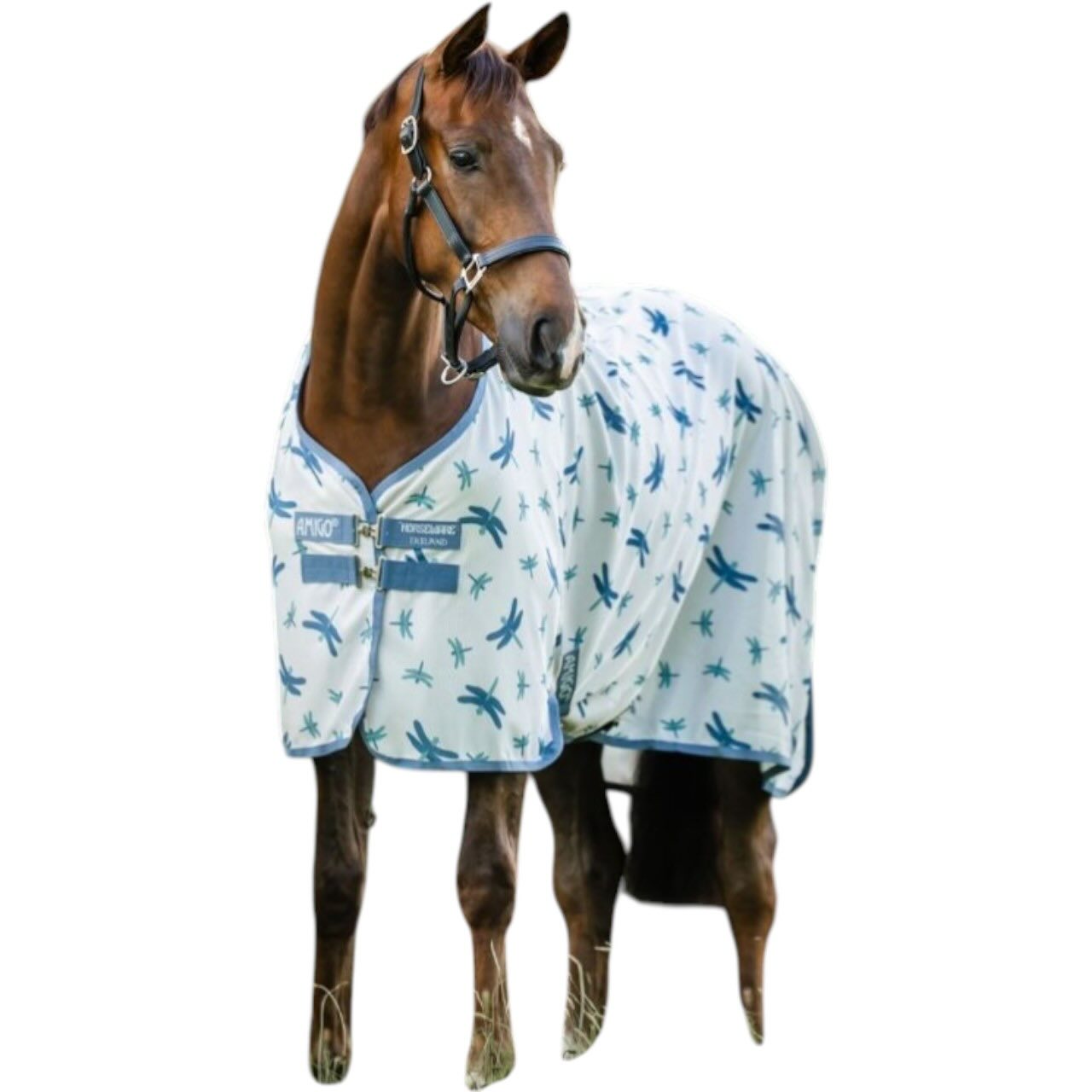 Horseware Ireland Fliegendecke Amigo Integrated Fly Sheet Fliegenschutz Dragonfly Print/ Silver, Blue & Sage 5'9 (125cm) | kavalio