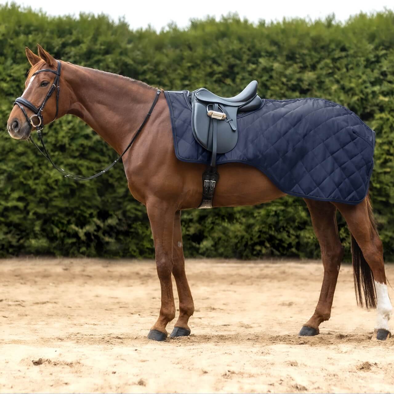 Waldhausen Ausreitdecke 50g Exclusive Nierendecke Waldhausen Ausreitdecke 50g Exclusive Nierendecke