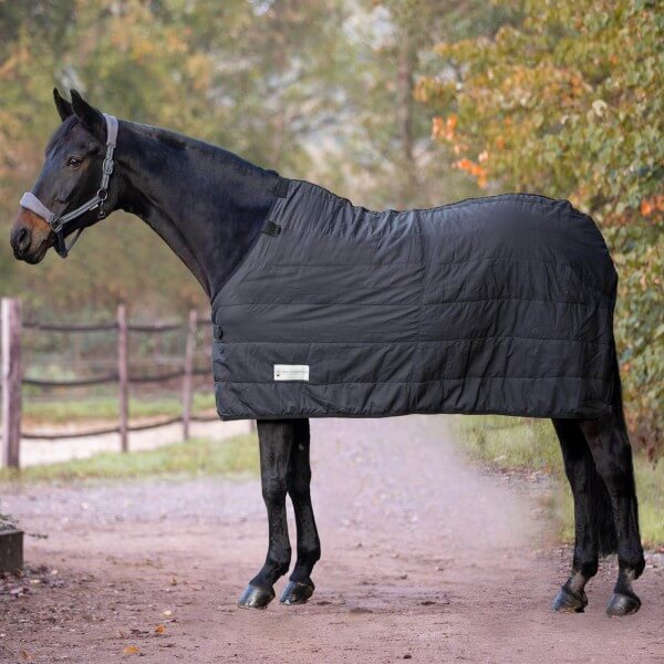 Unterdecke 100g Economic Thermo Unterdecke 100g Economic Thermo