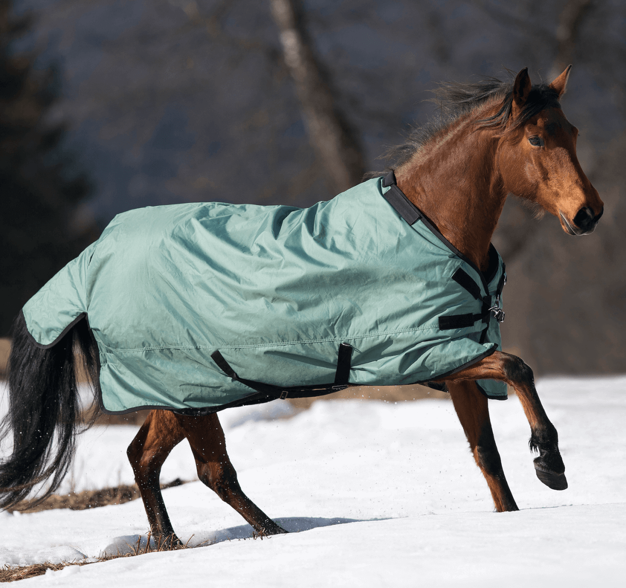 BUSSE Outdoordecke 100g Flexible Pro Weidedecke BUSSE Outdoordecke 100g Flexible Pro Weidedecke