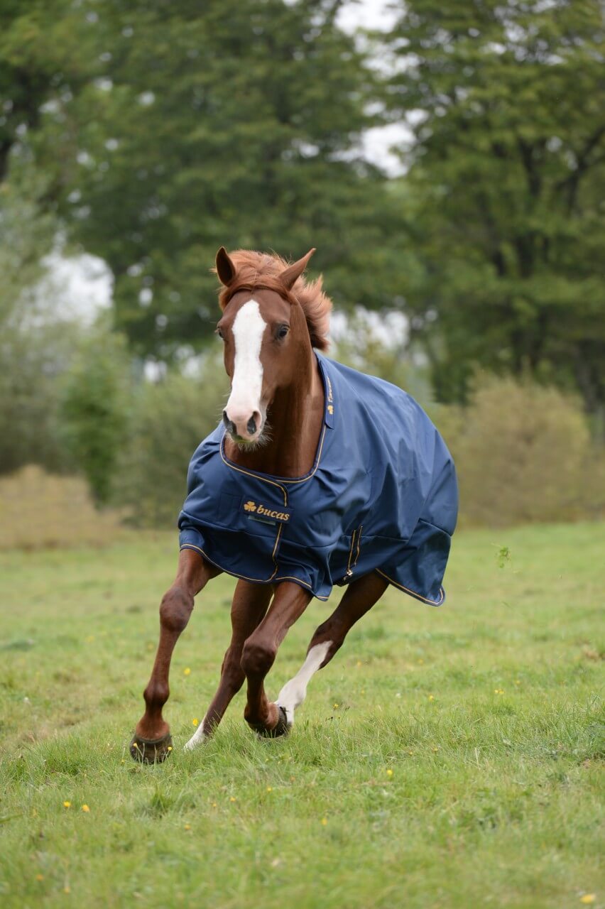 Bucas Outdoordecke 150g Irish Turnout Weidedecke Bucas Outdoordecke 150g Irish Turnout Weidedecke