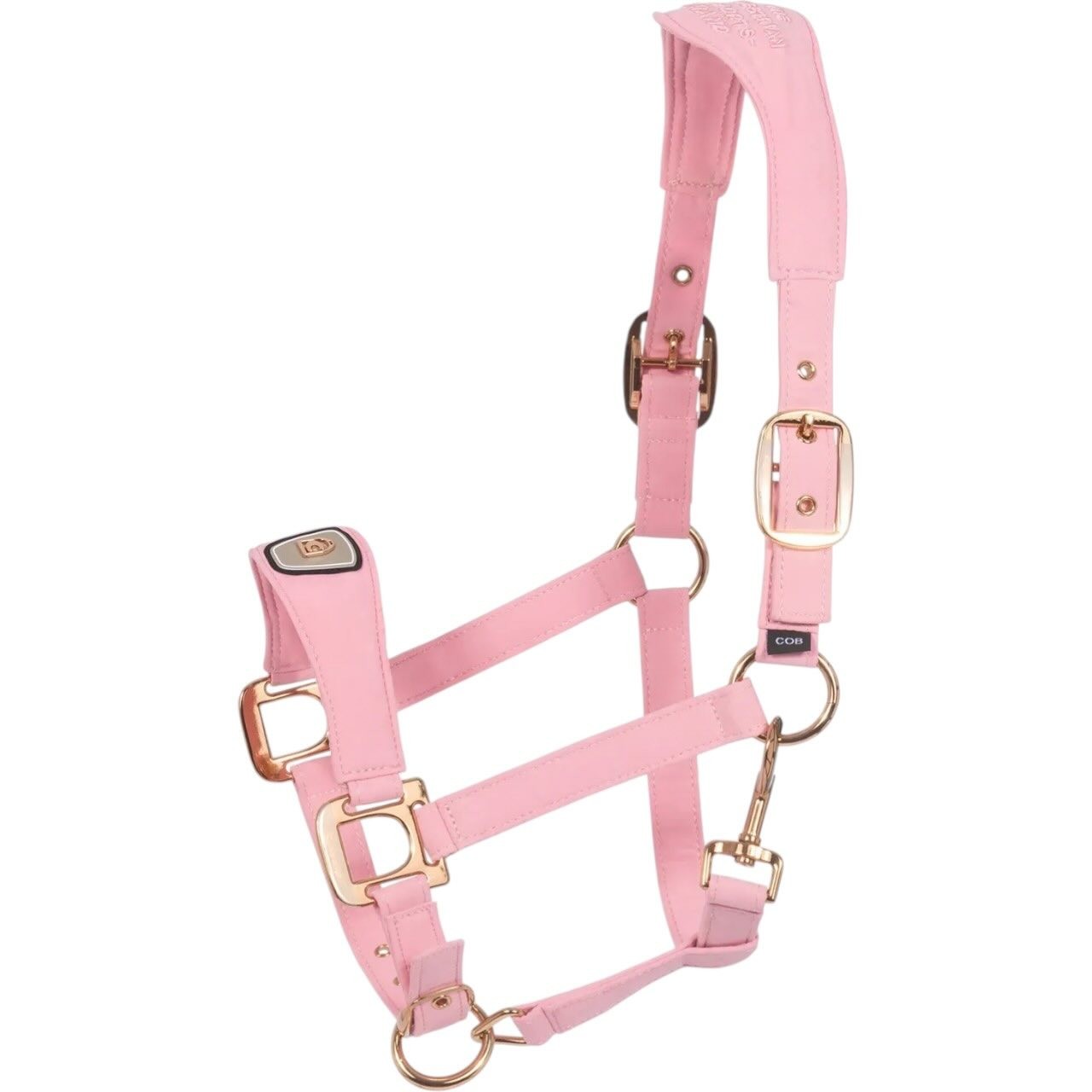 Cavallo Halfter CAVALPAWEL FS 2026 Nylonhalfter Cavallo Halfter CAVALPAWEL FS 2026 Nylonhalfter