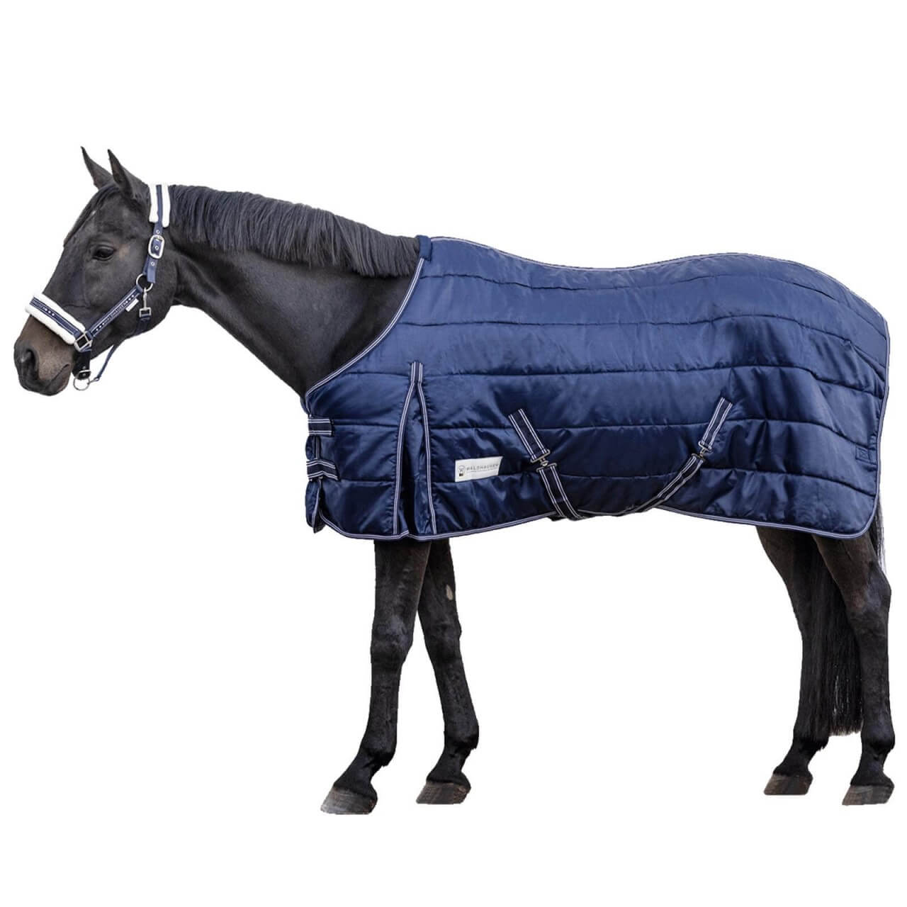 Waldhausen Stalldecke 200g Economic Waldhausen Stalldecke 200g Economic