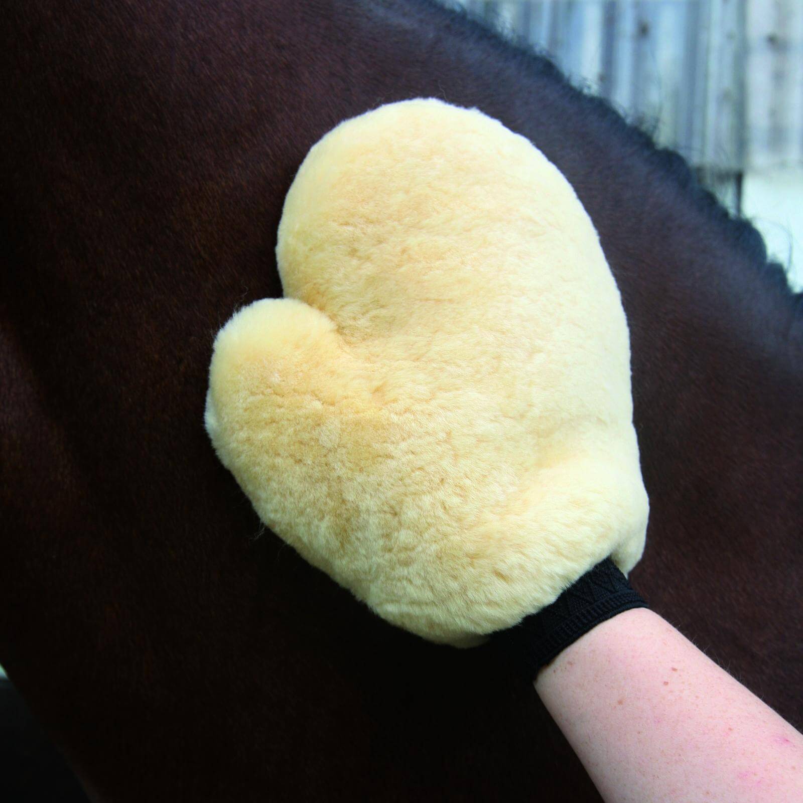 Waldhausen Lammfell-Putzhandschuh, natur | kavalio - für mich und mein Pferd