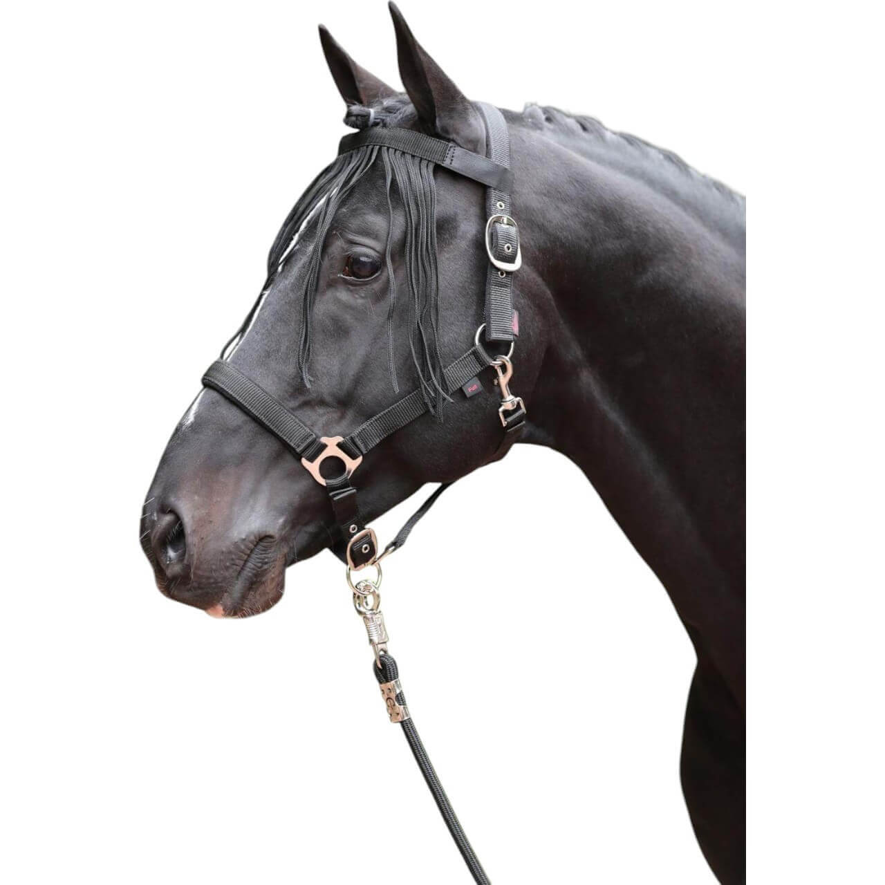 Covalliero Fliegen-Fransenband mit Klett Fliegenband Covalliero Fliegen-Fransenband mit Klett Fliegenband