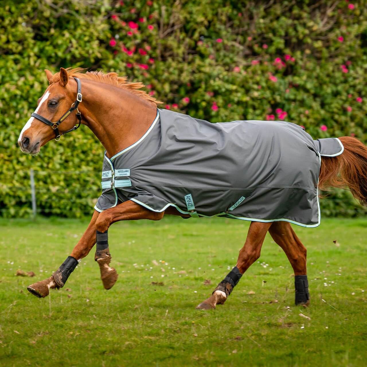 Horseware Ireland Outdoordecke 50g Amigo® Hero Ripstop Fleece Lining Weidedecke Horseware Ireland Outdoordecke 50g Amigo® Hero Ripstop Fleece Lining Weidedecke