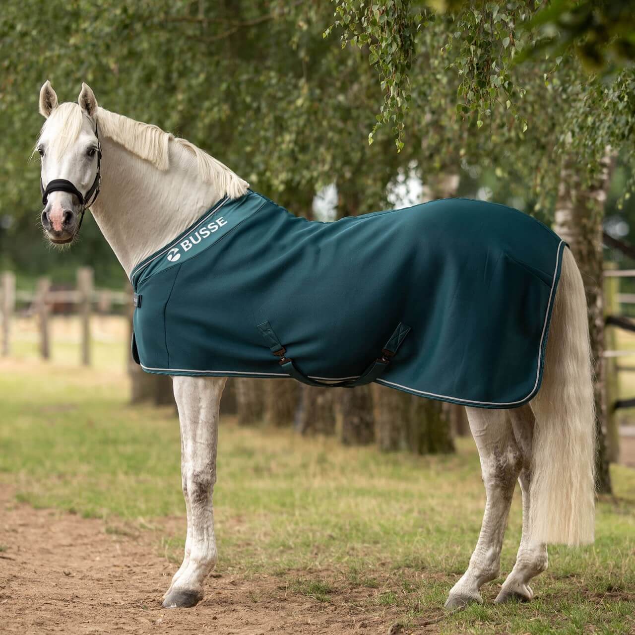 BUSSE Abschwitzdecke 3D Air Premium BUSSE Abschwitzdecke 3D Air Premium