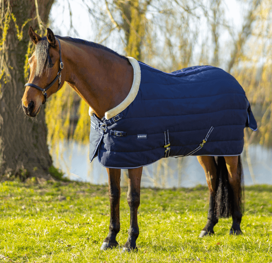 BUSSE Stalldecke 200g Polaris BUSSE Stalldecke 200g Polaris