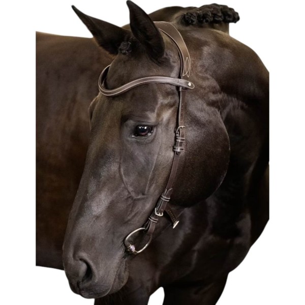 Trense Helsinki Trensenzaum