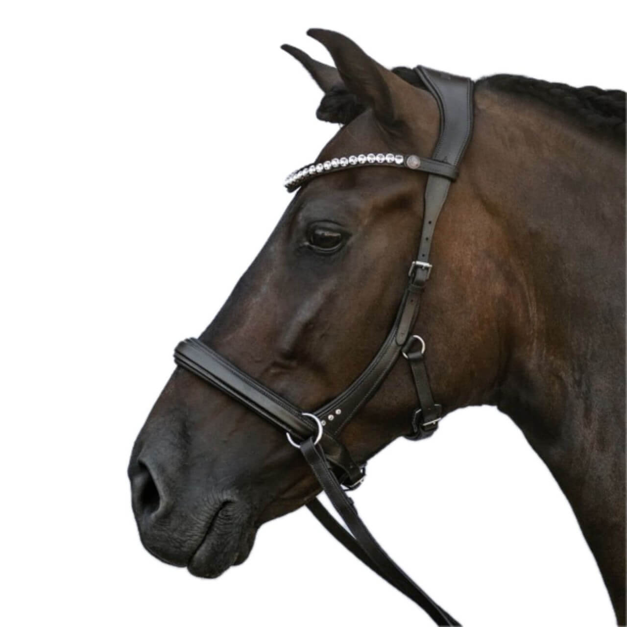 Bridlery Gebisslose Trense Choice mit Sparkling Stirnriemen Bridlery Gebisslose Trense Choice mit Sparkling Stirnriemen