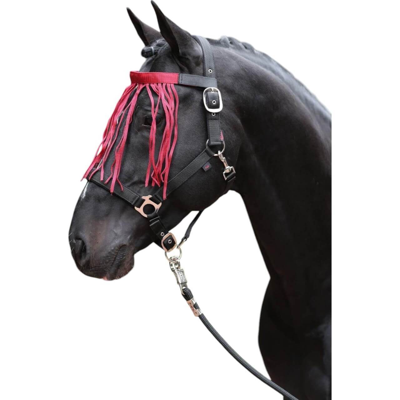 Covalliero Fliegen-Fransenband mit Klett Fliegenband Covalliero Fliegen-Fransenband mit Klett Fliegenband