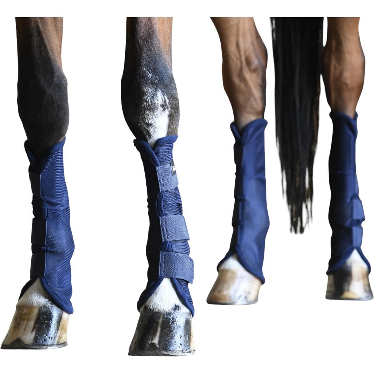 BUSSE Fliegen-Gamaschen 4er Set Comfort II Fliegenschutz-Gamaschen BUSSE Fliegen-Gamaschen 4er Set Comfort II Fliegenschutz-Gamaschen