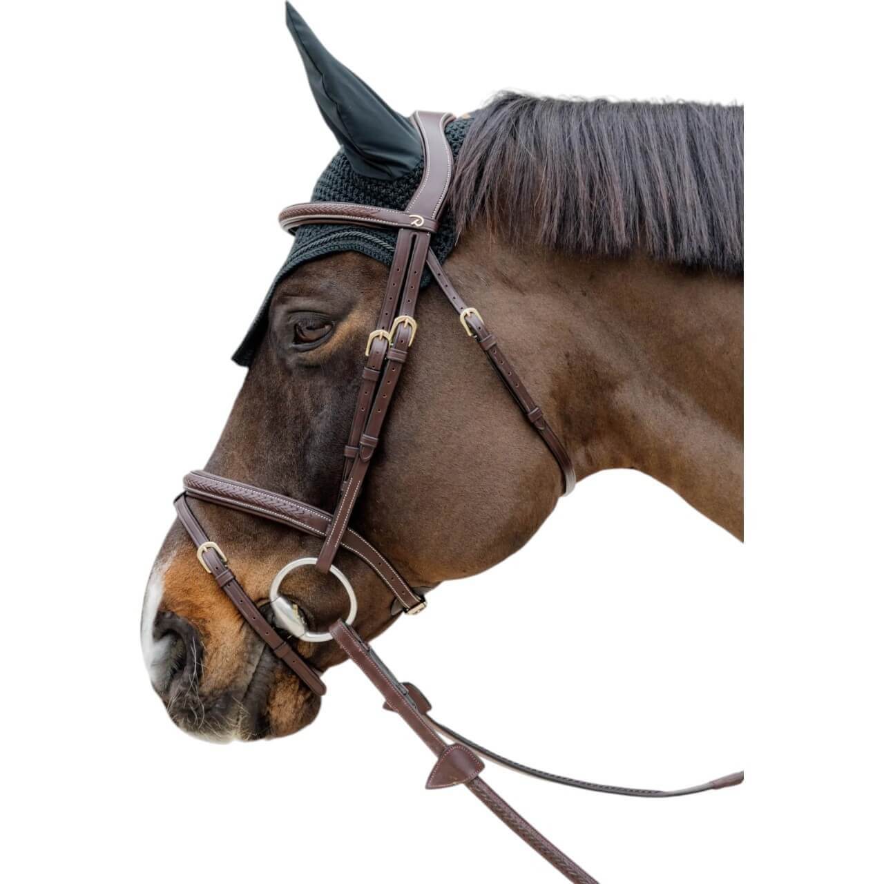 Dy´on Trense Geflochten mit kombiniertem Reithalfter D-Collection Dy´on Trense Geflochten mit kombiniertem Reithalfter D-Collection