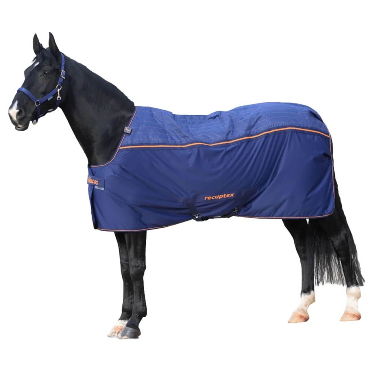 Bucas Therapiedecke Cooler Rug Therapy Bucas Therapiedecke Cooler Rug Therapy