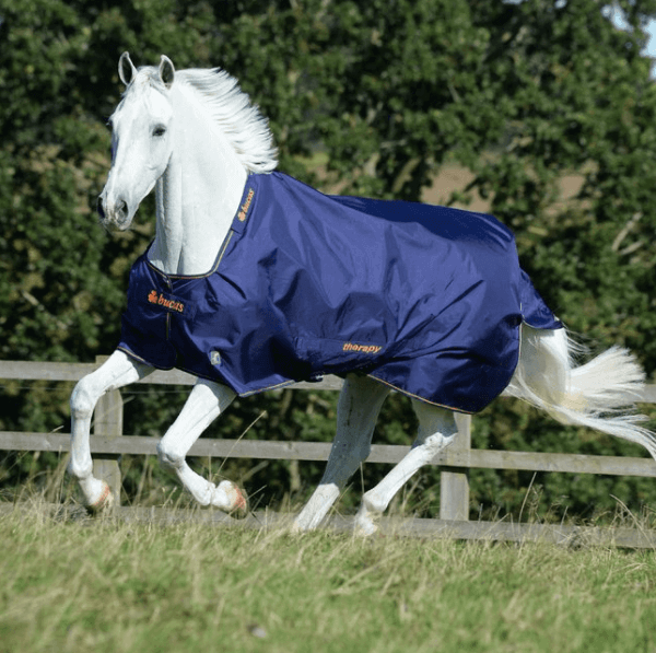 Outdoordecke 150g Therapy Turnout Therapiedecke Outdoordecke 150g Therapy Turnout Therapiedecke