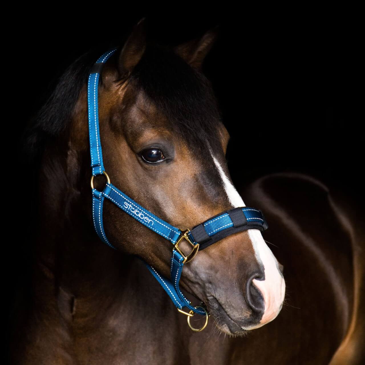 Stübben Stallhalfter mit reflektierenden Nähten Halfter Stübben Stallhalfter mit reflektierenden Nähten Halfter