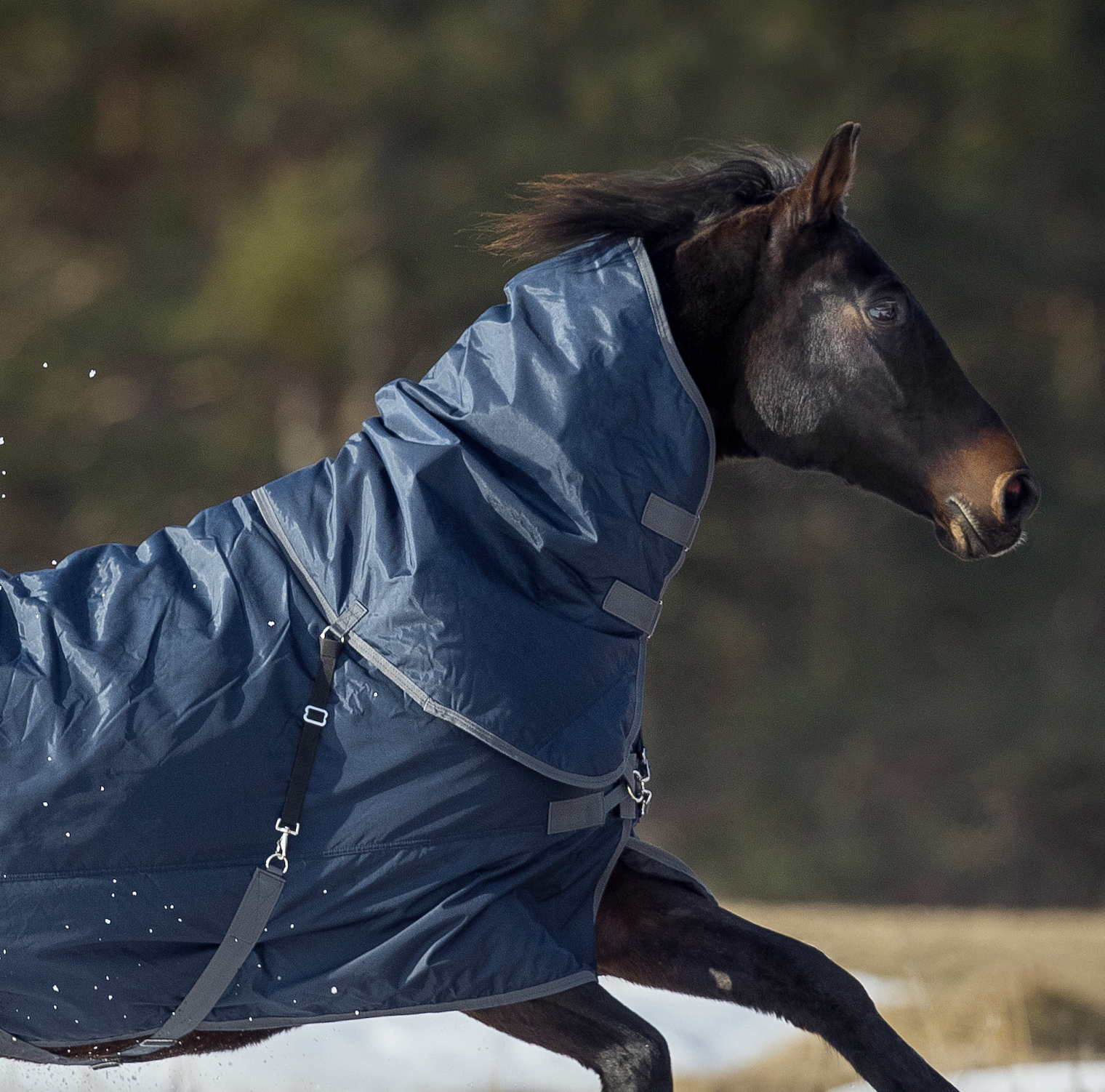 BUSSE - Halsteil 100g Flexible Pro