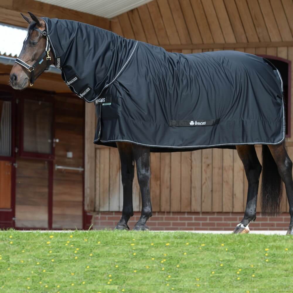 Bucas Multifunktionsdecke 0g Shamrock Power Full Neck Bucas Multifunktionsdecke 0g Shamrock Power Full Neck