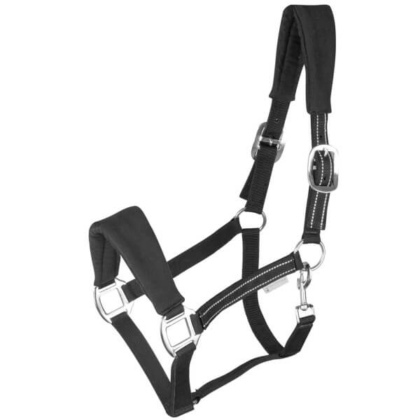 Halfter Alcantara Halfter Alcantara