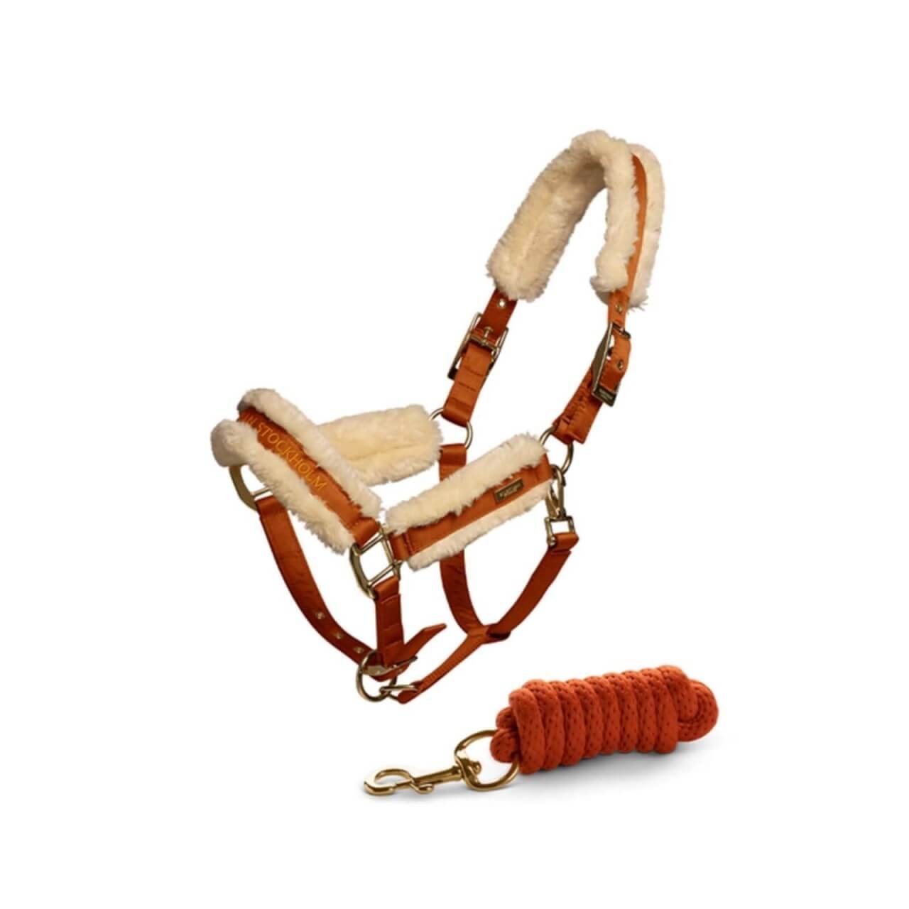 Equestrian Stockholm Halfter + Führstrick Bronze Gold FS 2022 Equestrian Stockholm Halfter + Führstrick Bronze Gold FS 2022