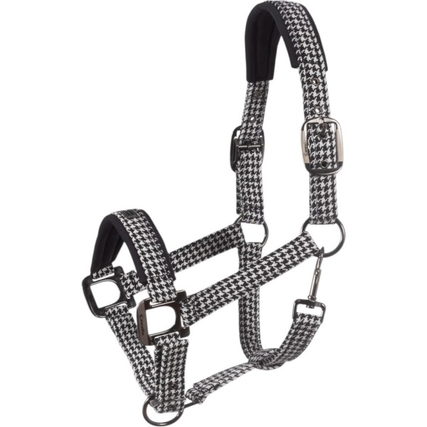 Halfter CAVALPEPPY HW 2025 Nylonhalfter Halfter CAVALPEPPY HW 2025 Nylonhalfter