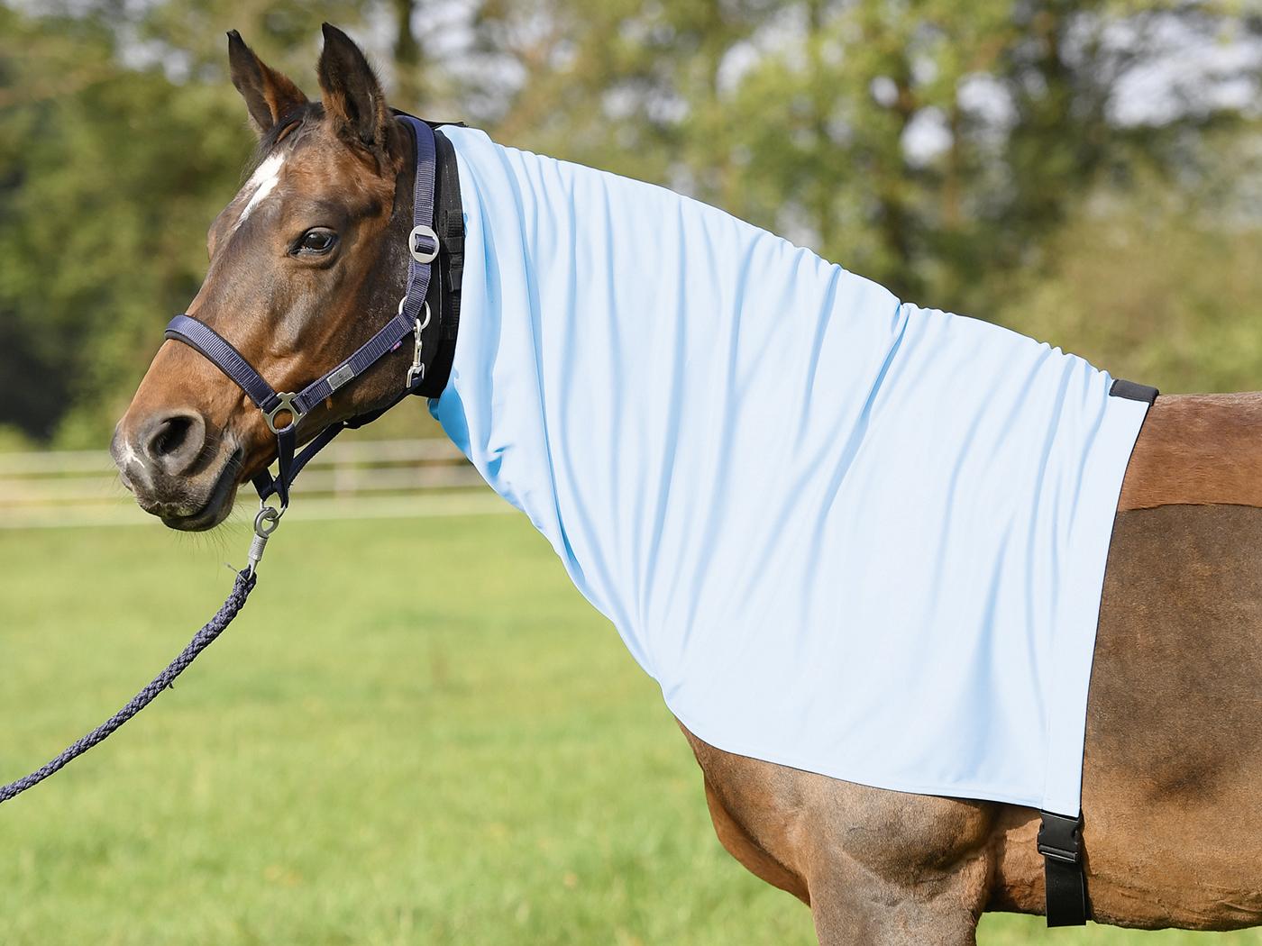 BUSSE Ekzemer Halsteil Extensive Hellblau M (135/145cm) | kavalio - für mich und mein Pferd