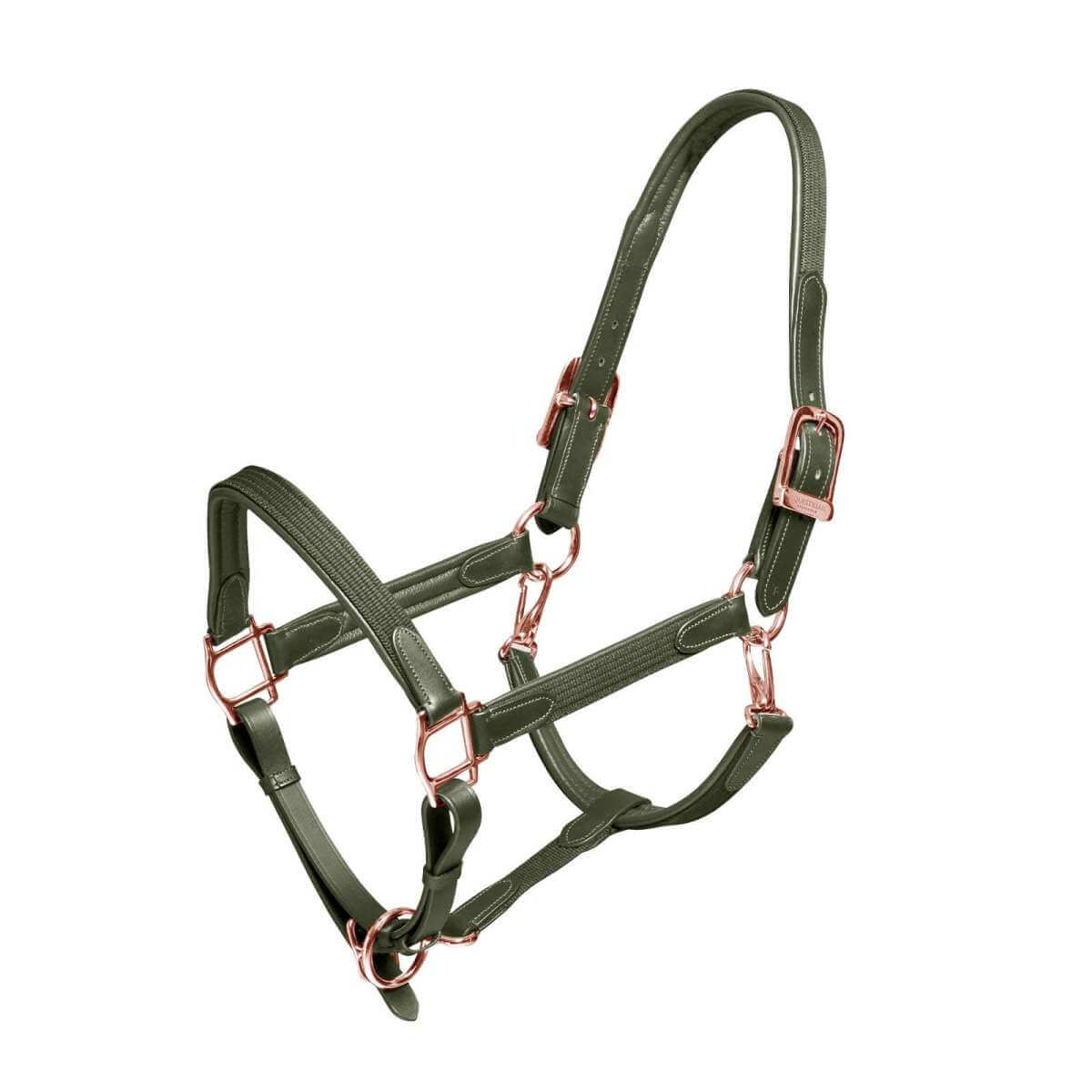 WALDHAUSEN Lederhalfter S-Line Classy - Braunes Reithalfter Mit Polsterung