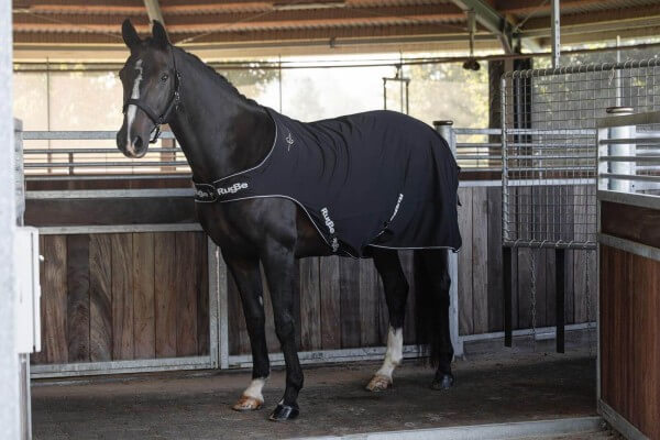 Führanlagen- und Spazierdecke RugBe