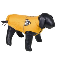 Senffarben Senffarben