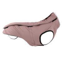 Magnolia Blossom Magnolia Blossom