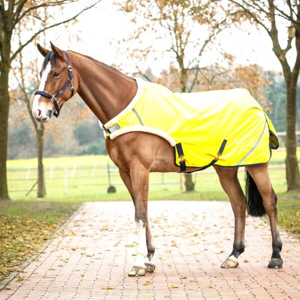 Führdecke 50g Shine Führdecke 50g Shine